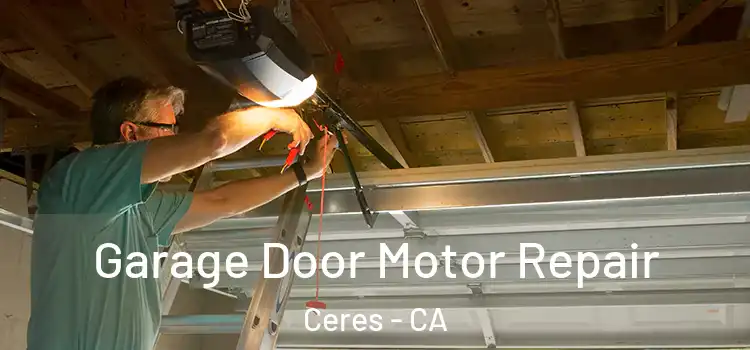  Garage Door Motor Repair Ceres - CA
