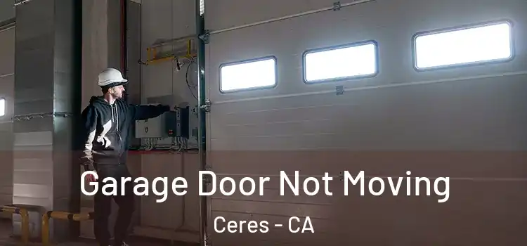  Garage Door Not Moving Ceres - CA