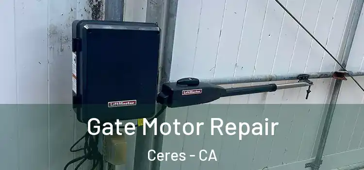  Gate Motor Repair Ceres - CA