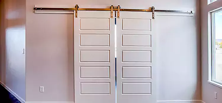 Glass Barn Door with Installation Hardware Kit Ceres