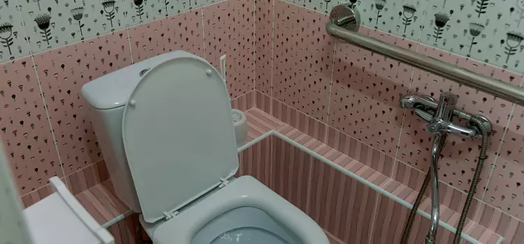 Meeting Diverse Needs With Accessible Restroom Solutions in Ceres, CA